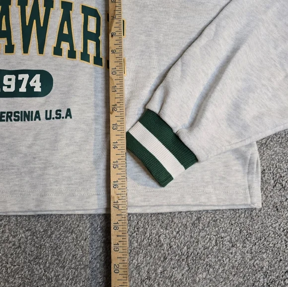 Delaware 1974 West Virginia USA Cropped Ribbed Oversized Baggy Collegiate - Picture 2 of 6